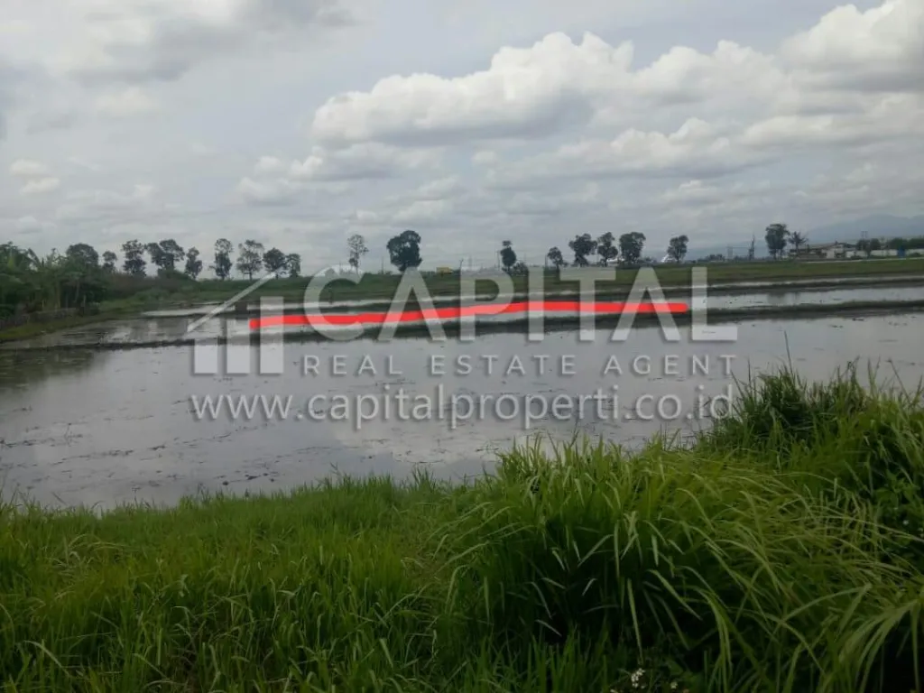 Jual 3.8 hektar lahan strategis di pinggir jalan raya Majalaya - Rancaekek | iklanova.com