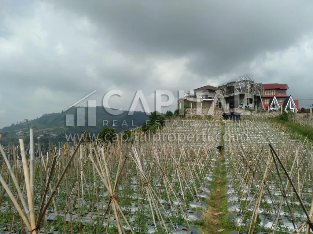 Jual 4 kavling tanah view Bandung di Cikole Lembang | iklanova.com