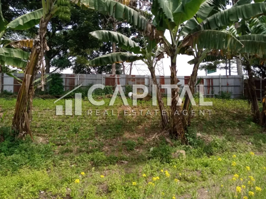 Jual cepat ! Tanah/kavling di mainroad Soreang | iklanova.com