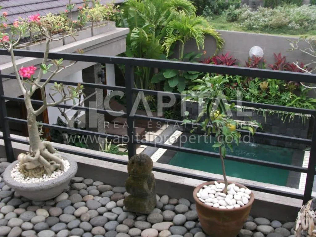 Jual cepat villa cantik dengan kolam renang di Canggu Bali | iklanova.com