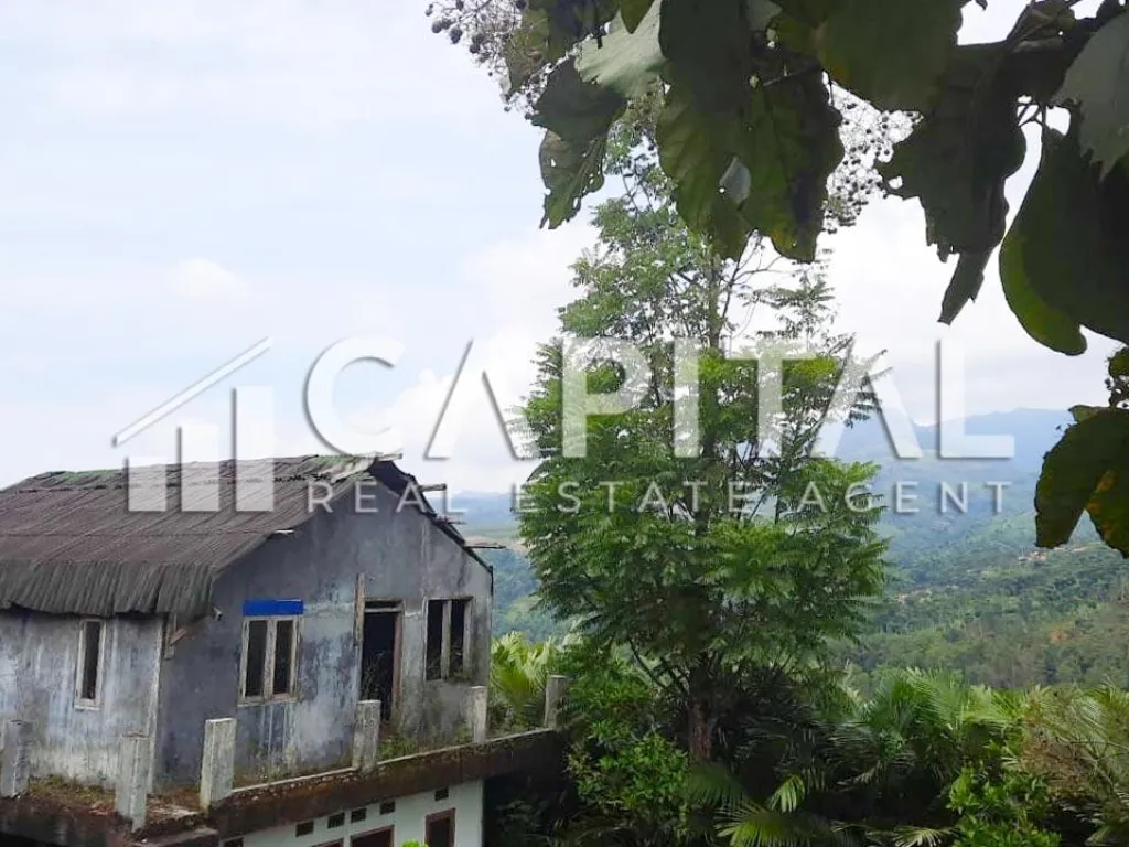 Jual kebun salak luas di Pamulihan Sumedang | iklanova.com