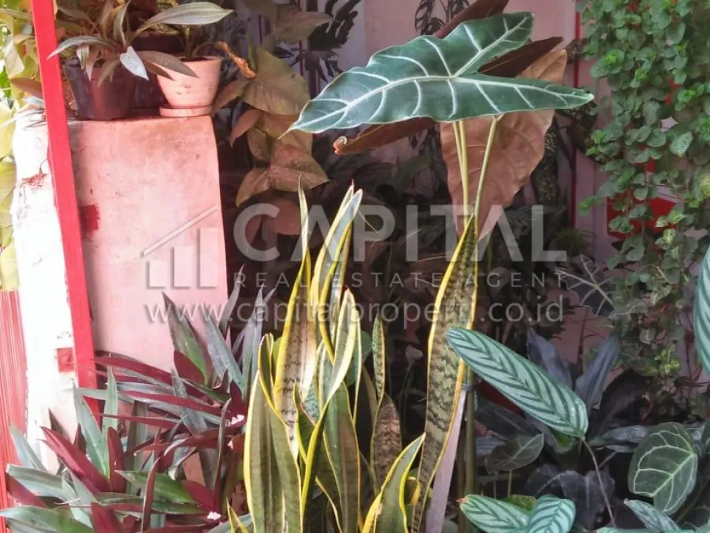 Jual rumah di Sadang Sari Asri Bandung | iklanova.com