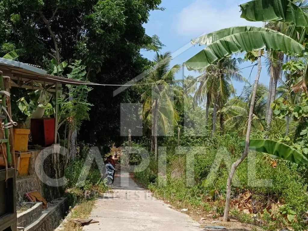 Jual tanah di Kemujan Karimun Jawa | iklanova.com