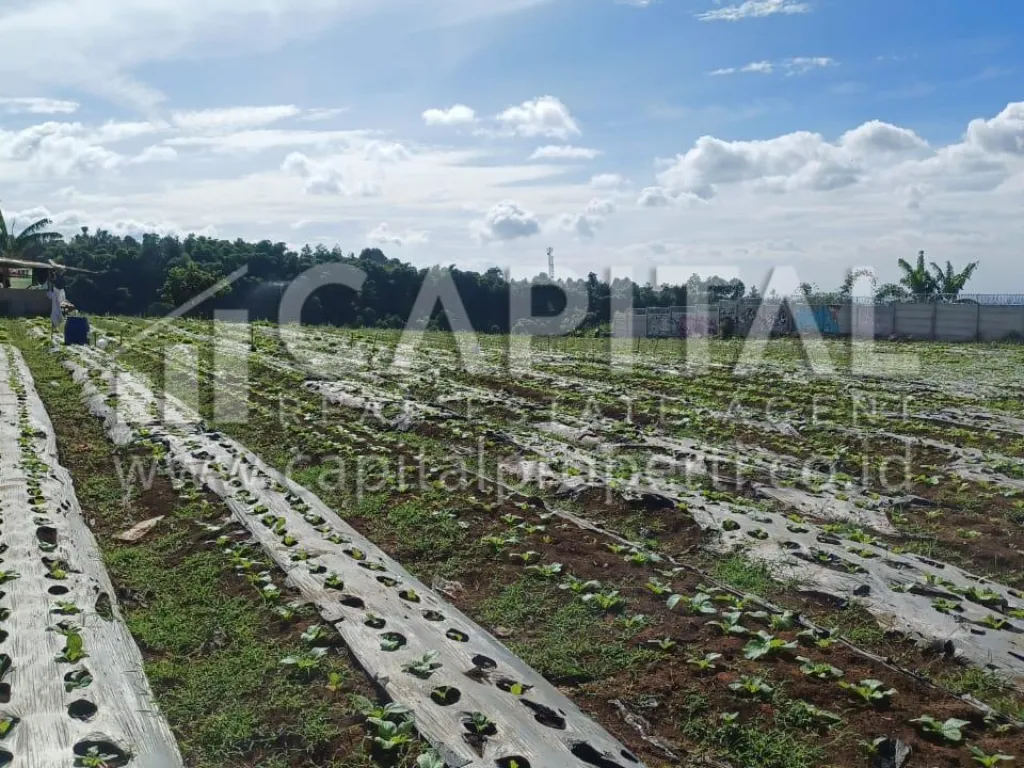 Jual tanah siap bangun di Sariwangi Bandung | iklanova.com