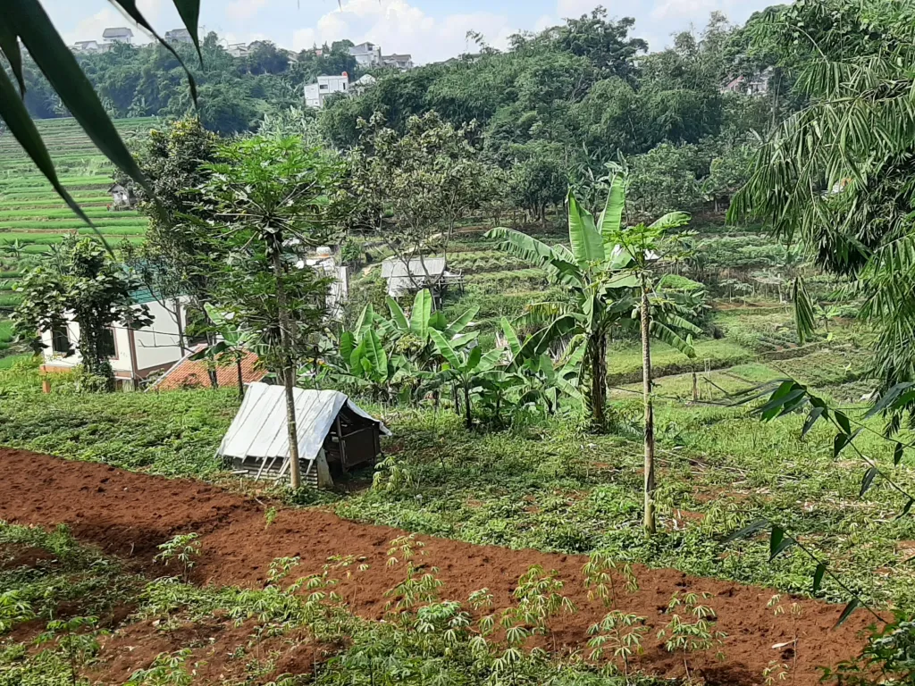 Murah! Jarang ada! Jual tanah view Bandung di daerah Ujungberung Bandung | iklanova.com