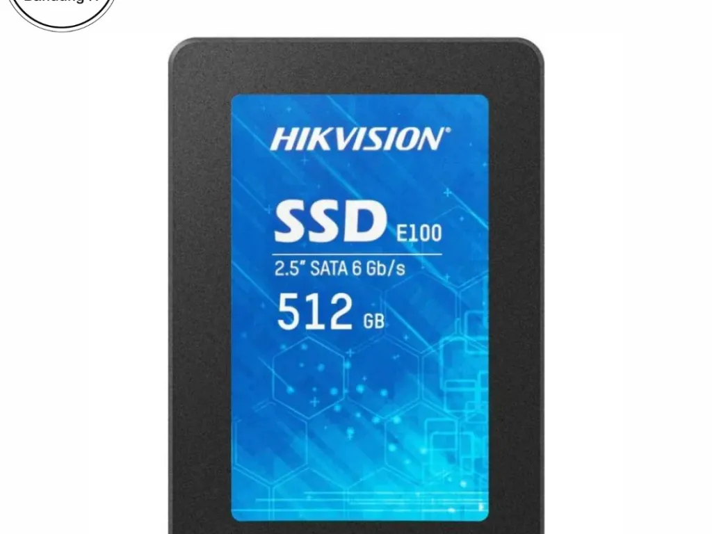 SSD HIKVISION E100 512GB SATA | iklanova.com